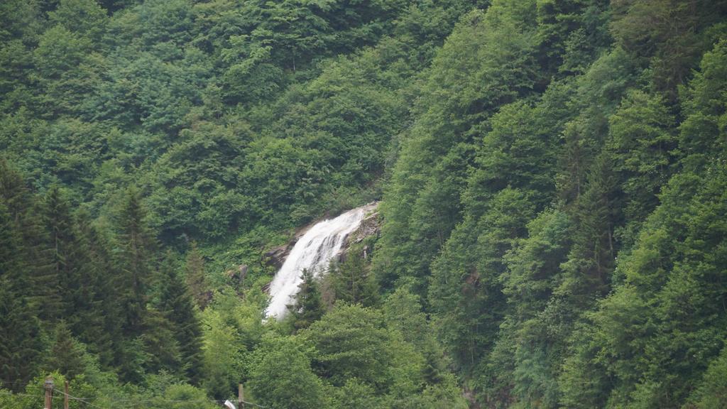 Ayder Resort Hotel Rize Luaran gambar