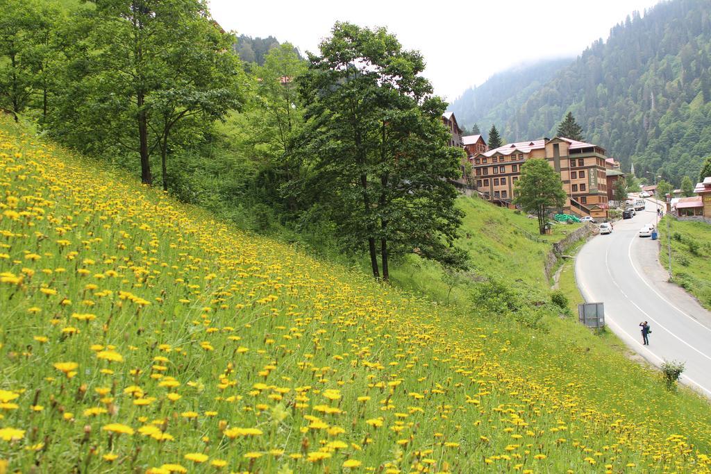 Ayder Resort Hotel Rize Luaran gambar
