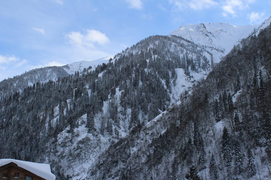 Ayder Resort Hotel Rize Luaran gambar